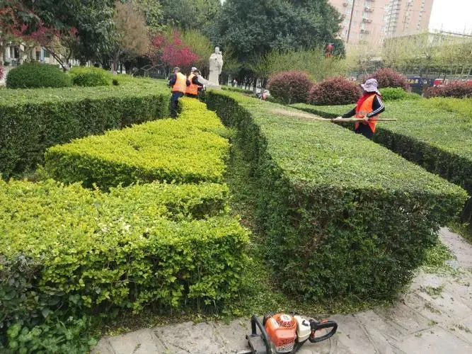 万科景观绿化工程合同范本