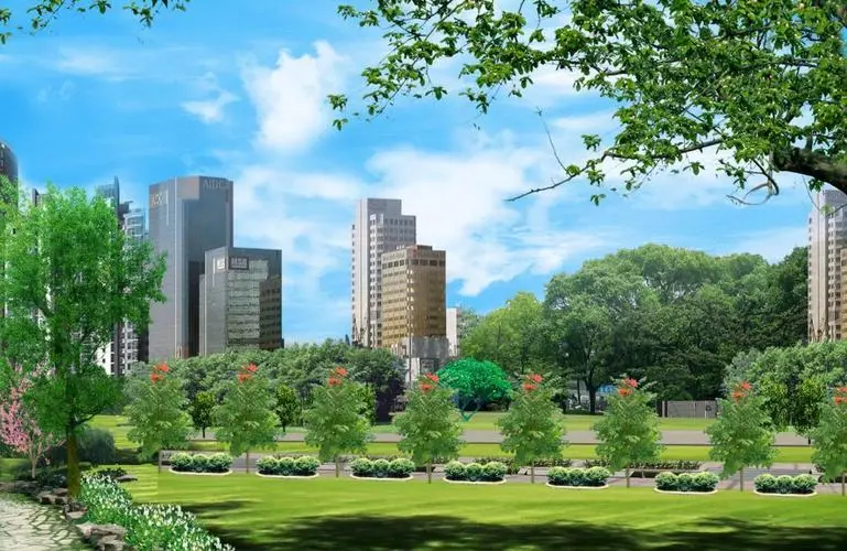 巩义绿化苗木批发市场在哪