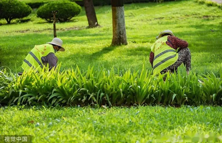 户外竹木地板之园林景观设计