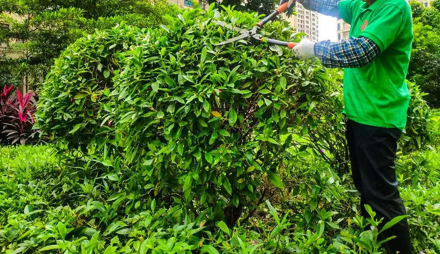 城管治理绿化工程方案